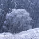 Alister Benn - Intimate Editions