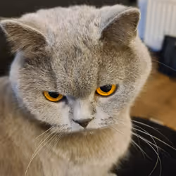 50378249515192140596651097190490243462828899571090436609561503714988796149761