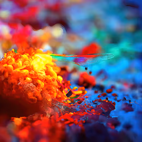 Item #46791239320930550842216346370990022496844985293742716642688576645993605365761 Media