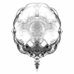 85859191866638808365331437874953228966785819470149775310971063026220877742081