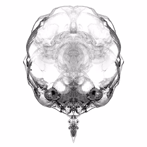 Item #85859191866638808365331437874953228966785819470149775310971063026220877742081 Media