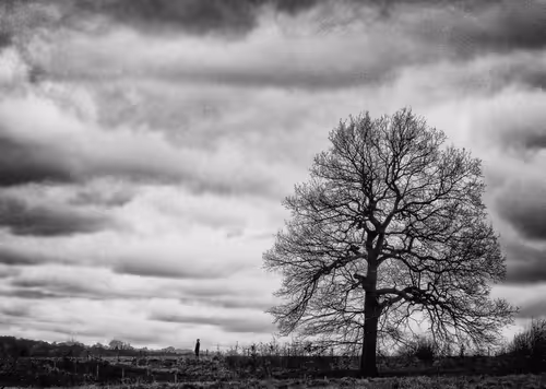 Item #88374127592991394625945705533029018802146106768942898408847956381112142397443 Media