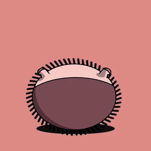 100422854109434993023598192782471465306019310597640261393877531913679634694145