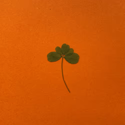 Item #103686640383972386915296784894542231468073856368856454861741467004023835983873 Media