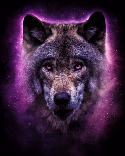 Item #48044010421302452796429908801463400032210755749653297728205729921149482041345 Media