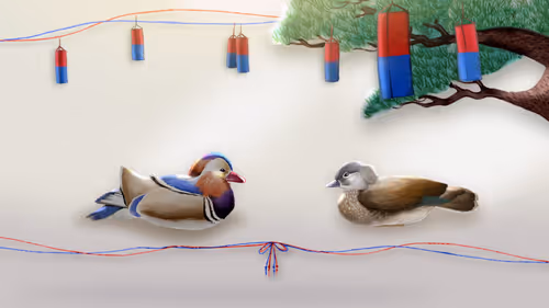 Item #115384412687826756347899480438696244977182939338597543109890946513778344198145 Media