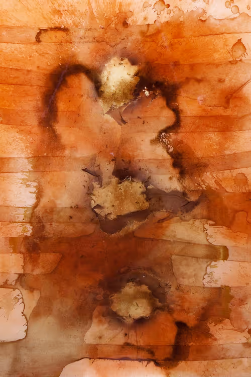 Item #111264774895172989553606282022194155892745764425417346937131400111352530862081 Media