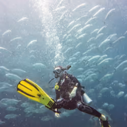 Travel the betterway - El Nido