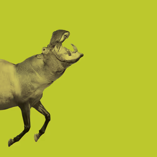 Item #30724973940313696272625563227310391301041139150256747801817741129647776595969 Media