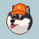 15422644651343706680889803232494072247486589087676571928209627291951579529217