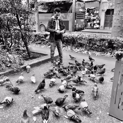 40449787652065743018640773044495240111019622512701765753694832734471488274433