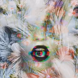 vivid dreams 