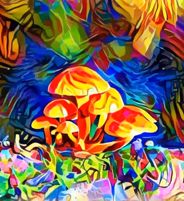 Item #98828088198769885069129805652987605738903563667474416042030428840106074832897 Media