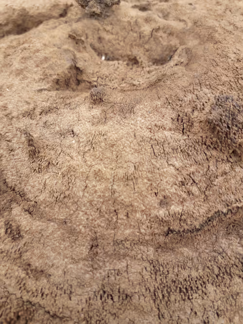 Item #2994241921880989471027163200316835395694183657844616033529236062349918470145 Media