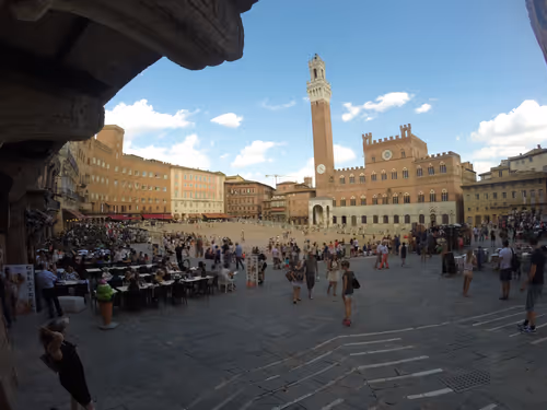 Item #41710495051253728513417233930932535486620982001984973039439061909617581752321 Media