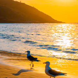 Sun and Sea #10