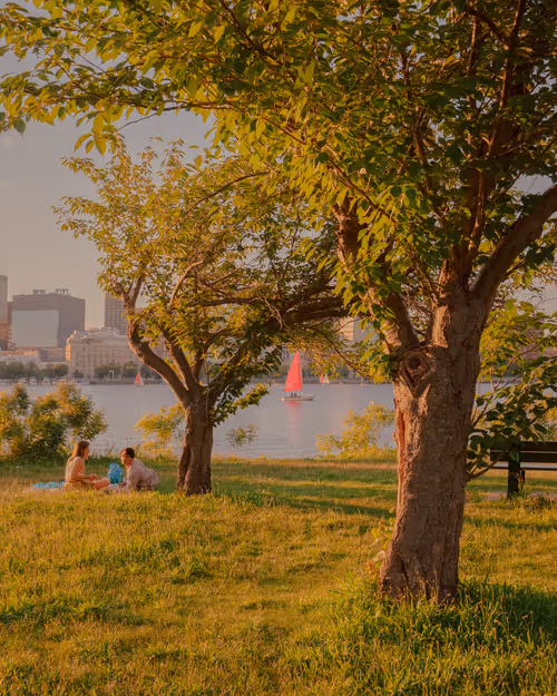 Item #91642827889227561886053898731104938405372263547258371444239634044142156251137 Media