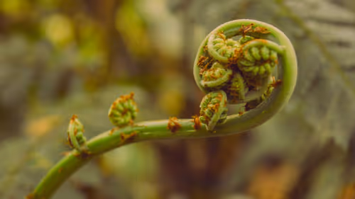 Item #114510891750785963571823232804805888525894639092230678926602407090019469623297 Media