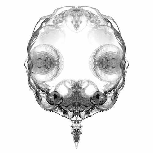 85859191866638808365331437874953228966785819470149775310971062205985203421185