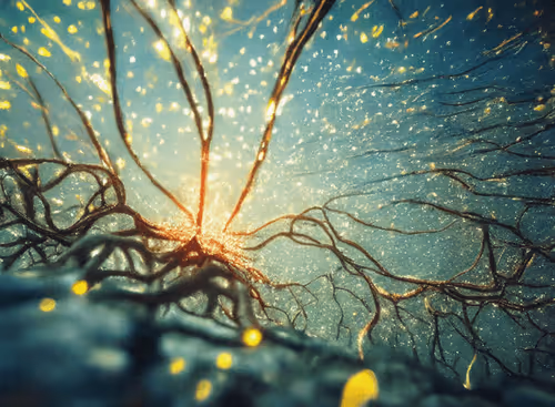 Item #98695163844141812296559601516468632585703412525772017875852753123023926591489 Media