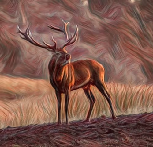 Animal Art V4