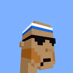 PunkVoxels #9811