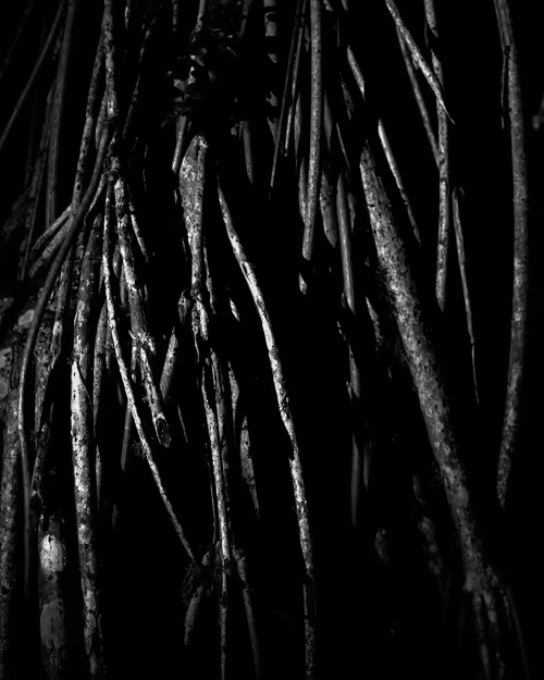 Item #62824009589233867486358160990261518560823086456171245380936126626654488363009 Media