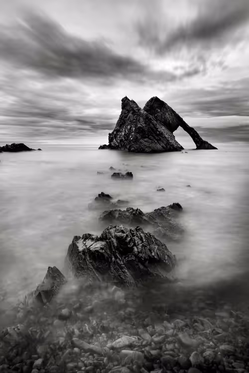 Item #41307754128955213419929316097644134962608763953462543917876022970650439188481 Media