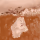 8556061733850570621173106315472467260668083661071942411625168931817879764993