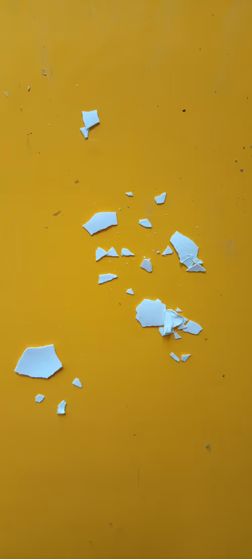 Item #57640666158596785763423701439979309821180739953164217894779325081856287703041 Media