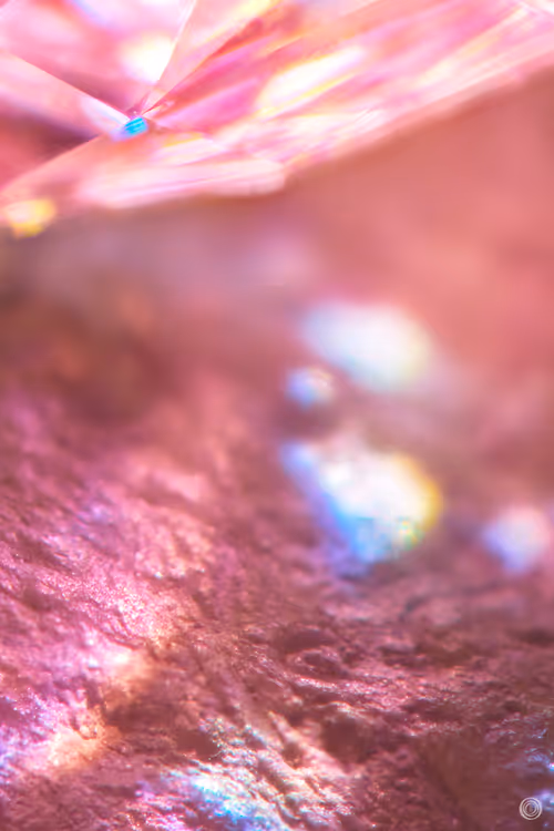 Item #106080962431400929248160011526145726141352128158429969924725129456965986025473 Media