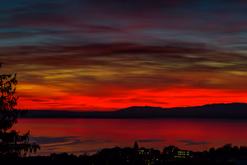 Item #105679162715773690367894814568251153202929894369313826483118647827897834799105 Media