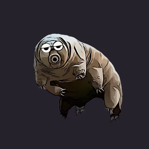 86202550248586517642199010531110464804800601482172909858196685614840658526209