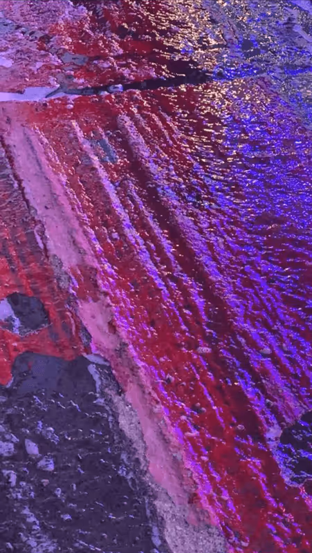 Item #62402000334580523921237358418718502457721815832787791947048085090287434596353 Media