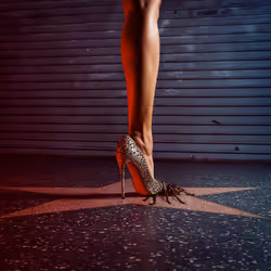 97255366407001210161876925537189396486612170582881870856049407191347391102977