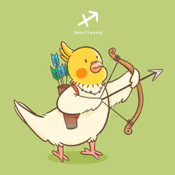 Cockatiel Bird - Sagittarius ♐️