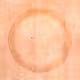 93069401607972478920888795112030636523879272172211868728768888501038275887105