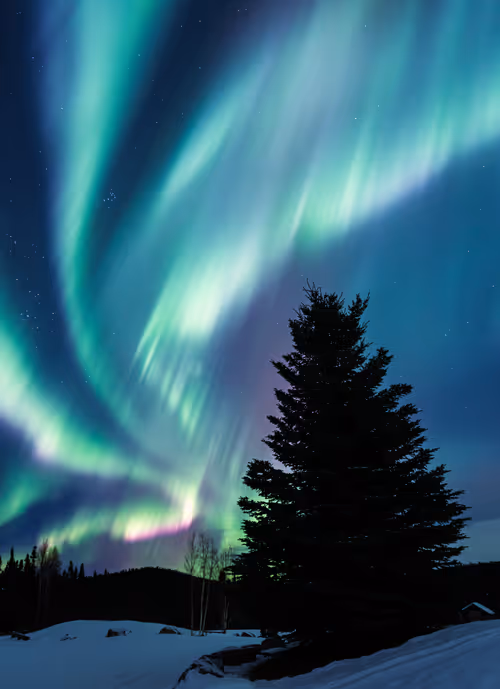 Item #21114313984647103593433237595897787432123742912884964135570648067896630050817 Media