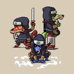 ninja gang