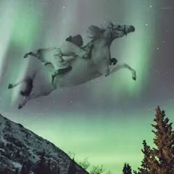 Northern Light Cowgirl 