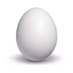 The Egg
