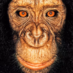 109162157552346088047496633038404394118504199992061596446112929724976943071233