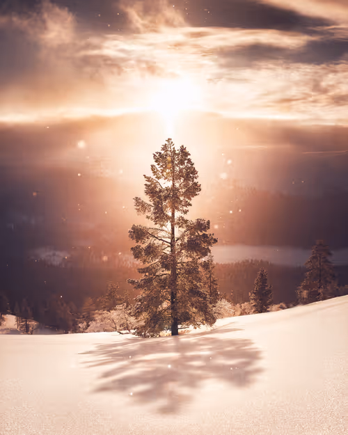 Item #134489906944514601836567189437532879130233761745768622289177290996015169537 Media