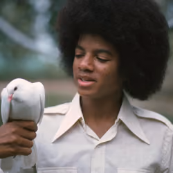 Michael Jackson Young Dove #8