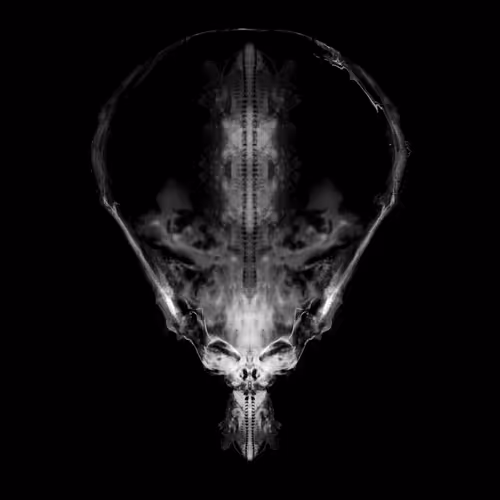 85859191866638808365331437874953228966785819470149775310971061723299598827521