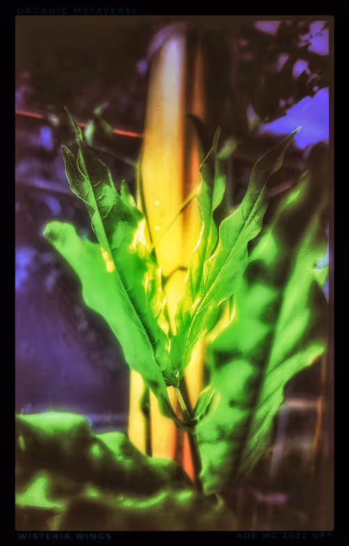 Item #3787080761074609709675817509753112159059746763483256848434353588582733578245 Media