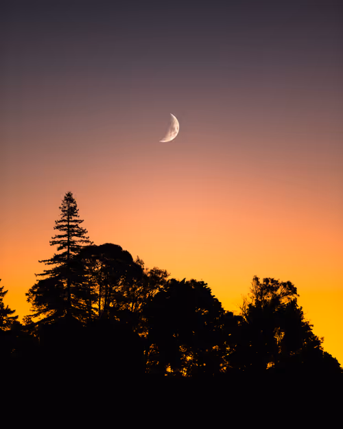 Item #74538995015435840111019835077918857414018361782222478882330568533702558613505 Media