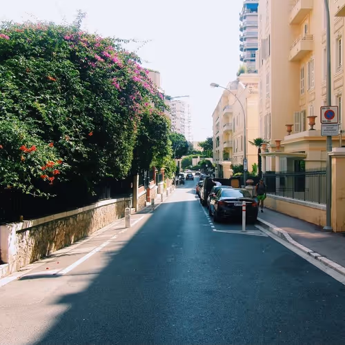 Street Walker