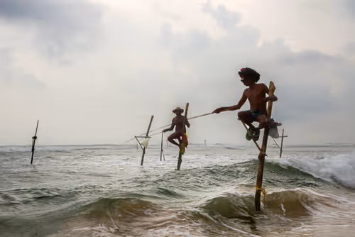 Item #1481344109210208725920975203172418785909527280218329969368929602353179394049 Media