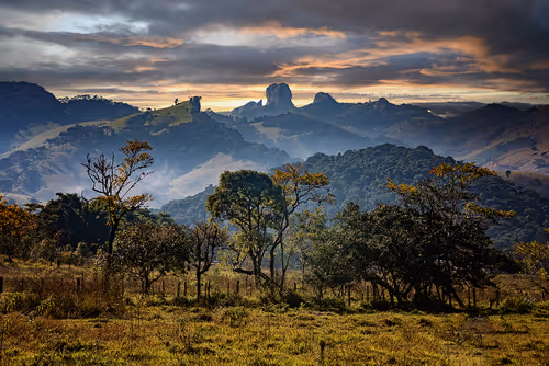 Item #52866533446256947539128955257179026022182065840337043931720506840213505441793 Media